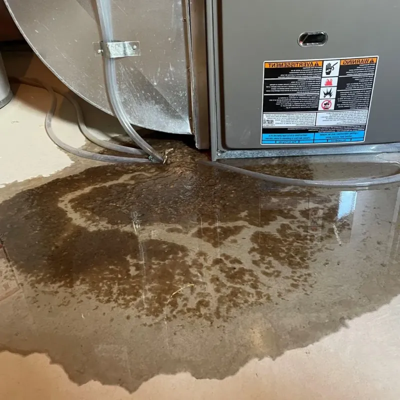 Pipe Burst and Leak Restoration in Delaware County, NY